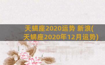 天蝎座2020运势 新浪(天蝎座2020年12月运势)